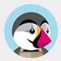 Template Bunch Platform Icon